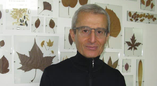 Dr BEN KHALFALLAH, dentiste à Paris 6